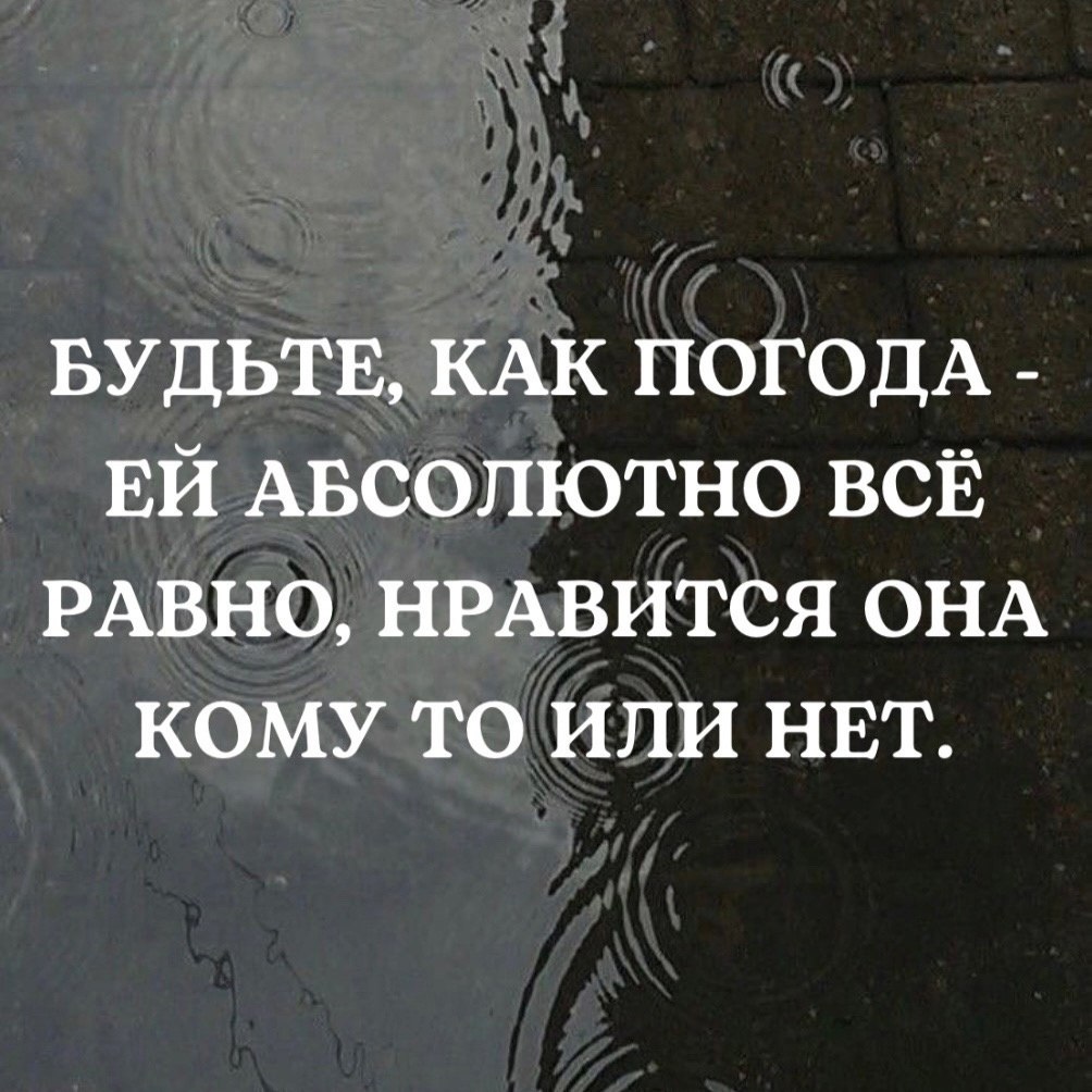   -  ,  -  - 17  2023  14:36