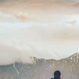 ���������, �����, 23 ����