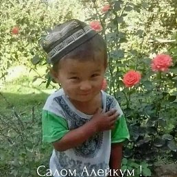 ���, �����, 49 ���