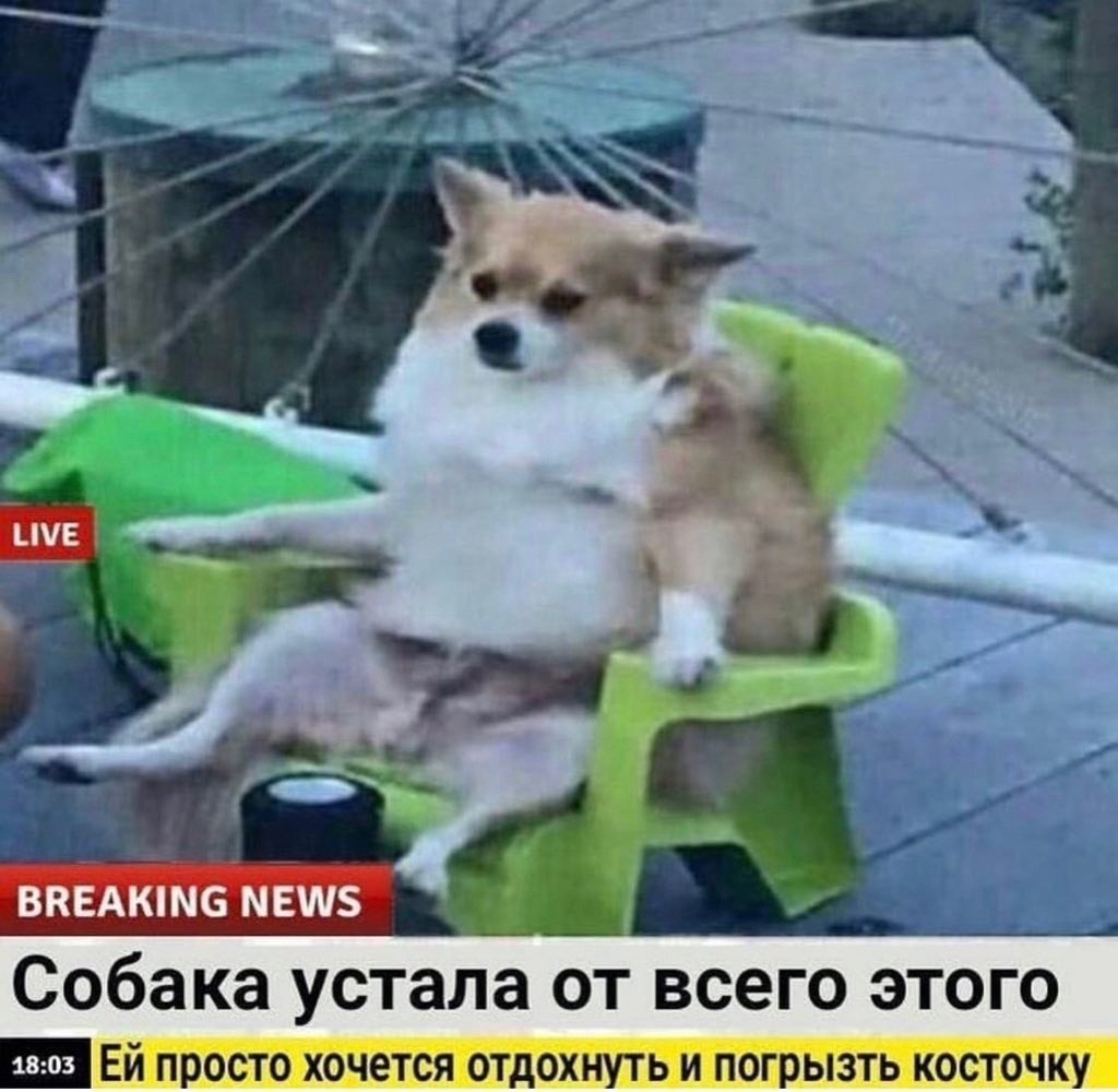   15:   ,     . : 