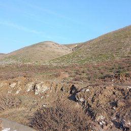 ���� ���, ���, 43 ���� - ��������� 1 ������� 2023