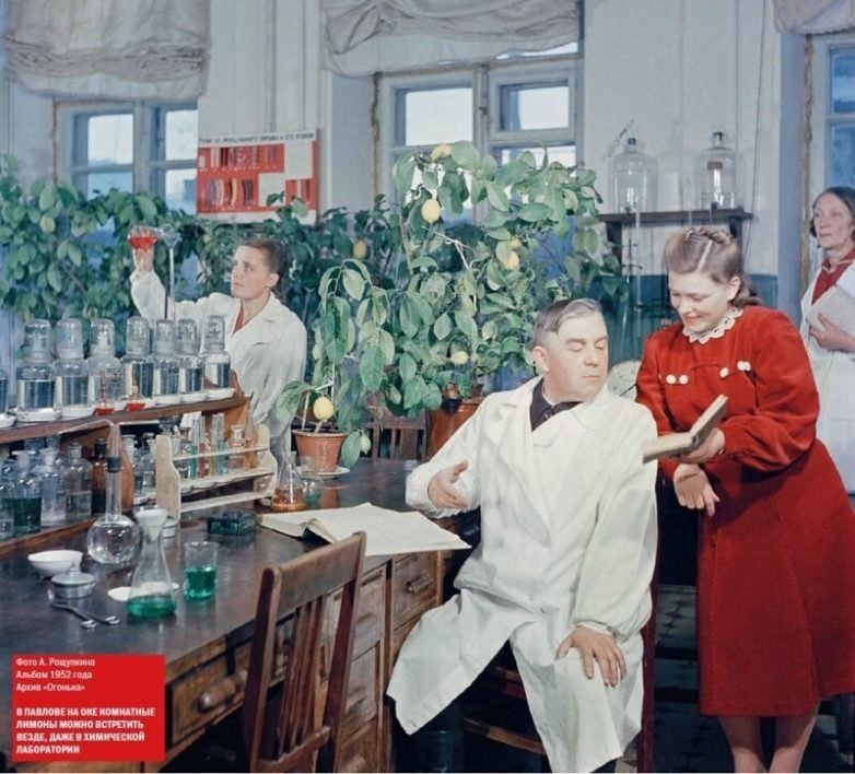  1952   