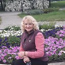 ���� �������, ���������, 71 ��� - ��������� 28 ��� 2023 � ������ ���� ����������