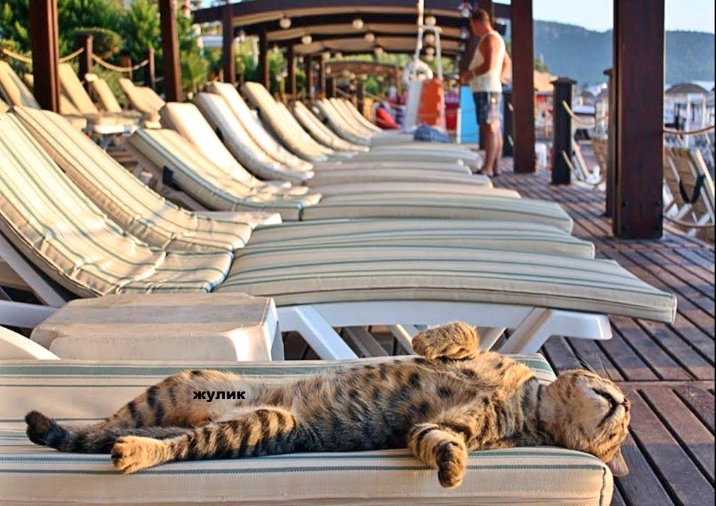 Пусть будет как надо!.. А как не надо - не надо! )