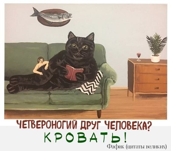  ...    !