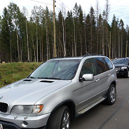 �������, ������, 50 ���