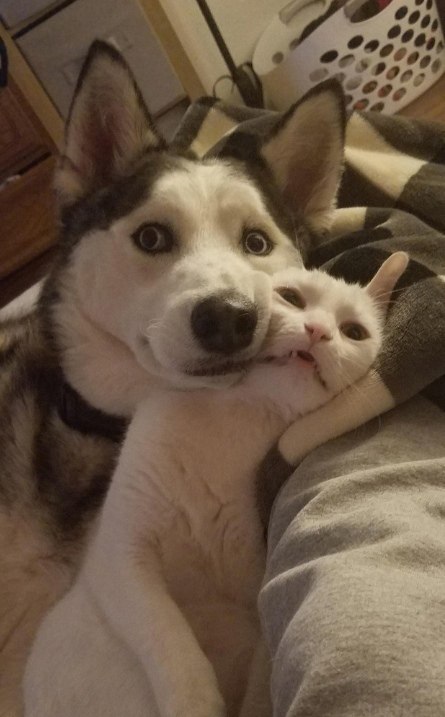  3         ,   :