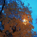 ���� ���, ������, 58 ��� - ��������� 20 ������� 2023 � ������ ���� ����������