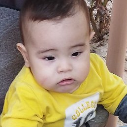 Shomaqsud, �����, 33 ����