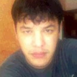 ������, �����-���������, 44 ����