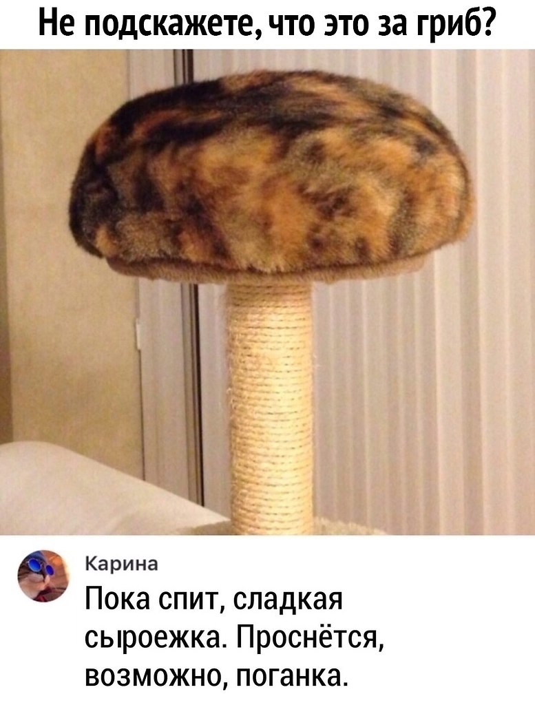  -   ! Ÿ     !