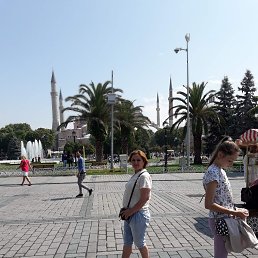 , 52, 