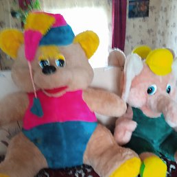 ����, ��������, 44 ����