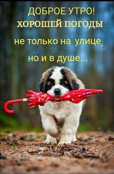 *******************************************