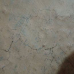 Rockey, ��������, 37 ���