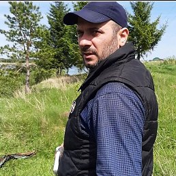 ����, ������, 46 ���