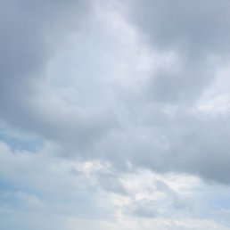 �����, �����������, 40 ���