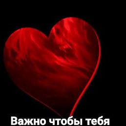 ��������, ������, 51 ���