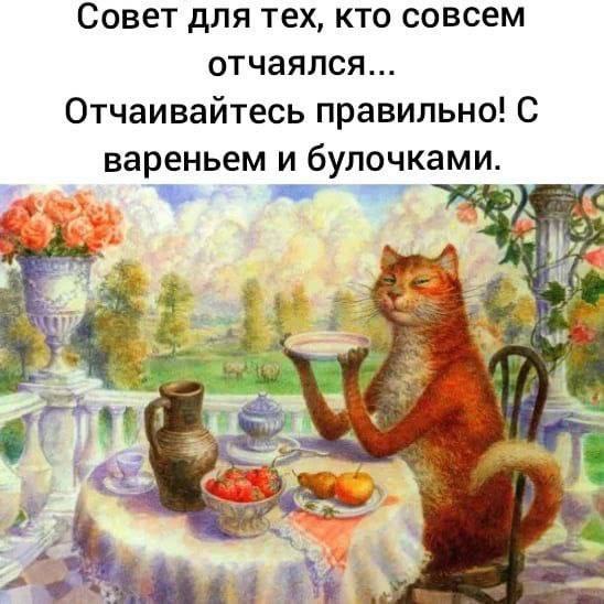  - 24  2023  20:13