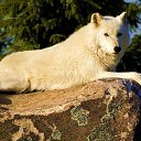 ���� �������, �����, 48 ��� - ��������� 25 ������� 2023