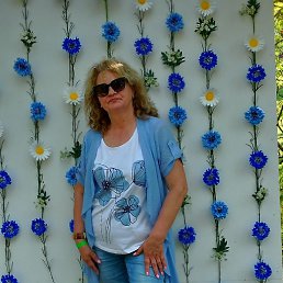 �����, ����, 62 ����