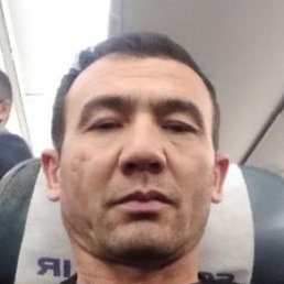 �����, ��������, 46 ���