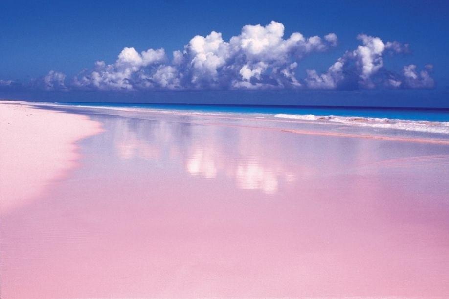      : PINK SANDS BEACH. ,    ! ...