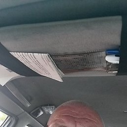 �����, �����������, 62 ����