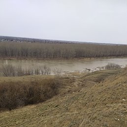 ������, �������������, 56 ���