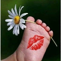 ��������, �����, 63 ����