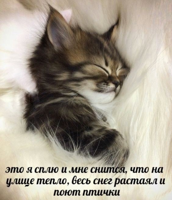    - 5  2023  17:25