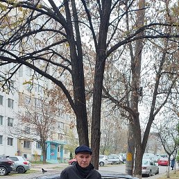 ����, �������, 52 ����