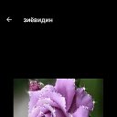 ���� �������, ������, 26 ��� - ��������� 30 ���� 2023