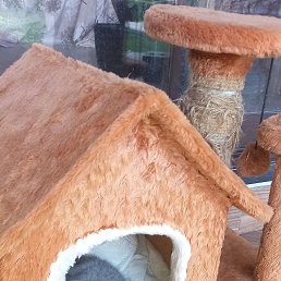 ���� Nail, ����, 39 ��� - ��������� 2 ������� 2023