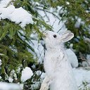 ���� ���, �����������, 49 ��� - ��������� 16 ����� 2023