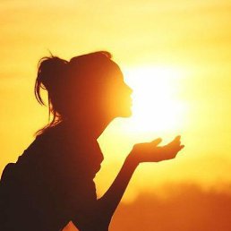 ����, ������, 43 ����