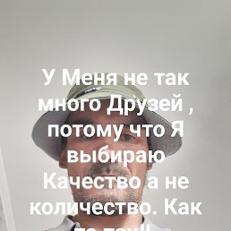 �����, ������, 49 ���