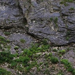 �������, ���������, 65 ���