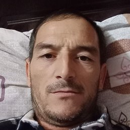 , , 43 