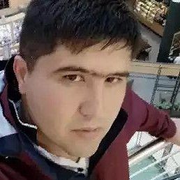 �����, �����-���������, 37 ���