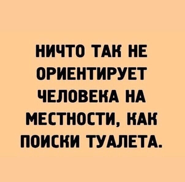 ☆ ☆ - 8  2023  23:29