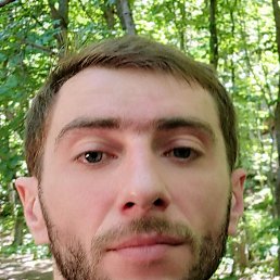 ������, 37 ���, ���������