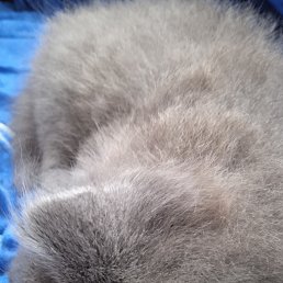 ���� �����, ������, 37 ��� - ��������� 28 ���� 2023