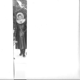 ����, ���������