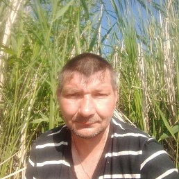 ���� ���������, �����, 44 ���� - ��������� 13 ������� 2023