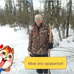 ���������, ������, 51 ���