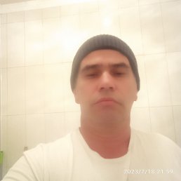  , , 50  -  8  2023