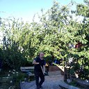 ���� �������, ���������, 43 ���� - ��������� 17 ������� 2023 � ������ ���� ����������