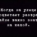 ���� ������, ������, 51 ��� - ��������� 15 ����� 2023 � ������ ������ ��������