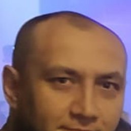 ������, ������, 40 ���